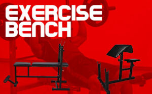 Exercise Bench