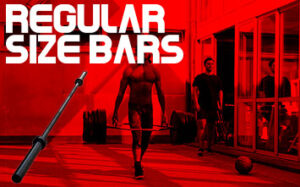 Regular Size Bars